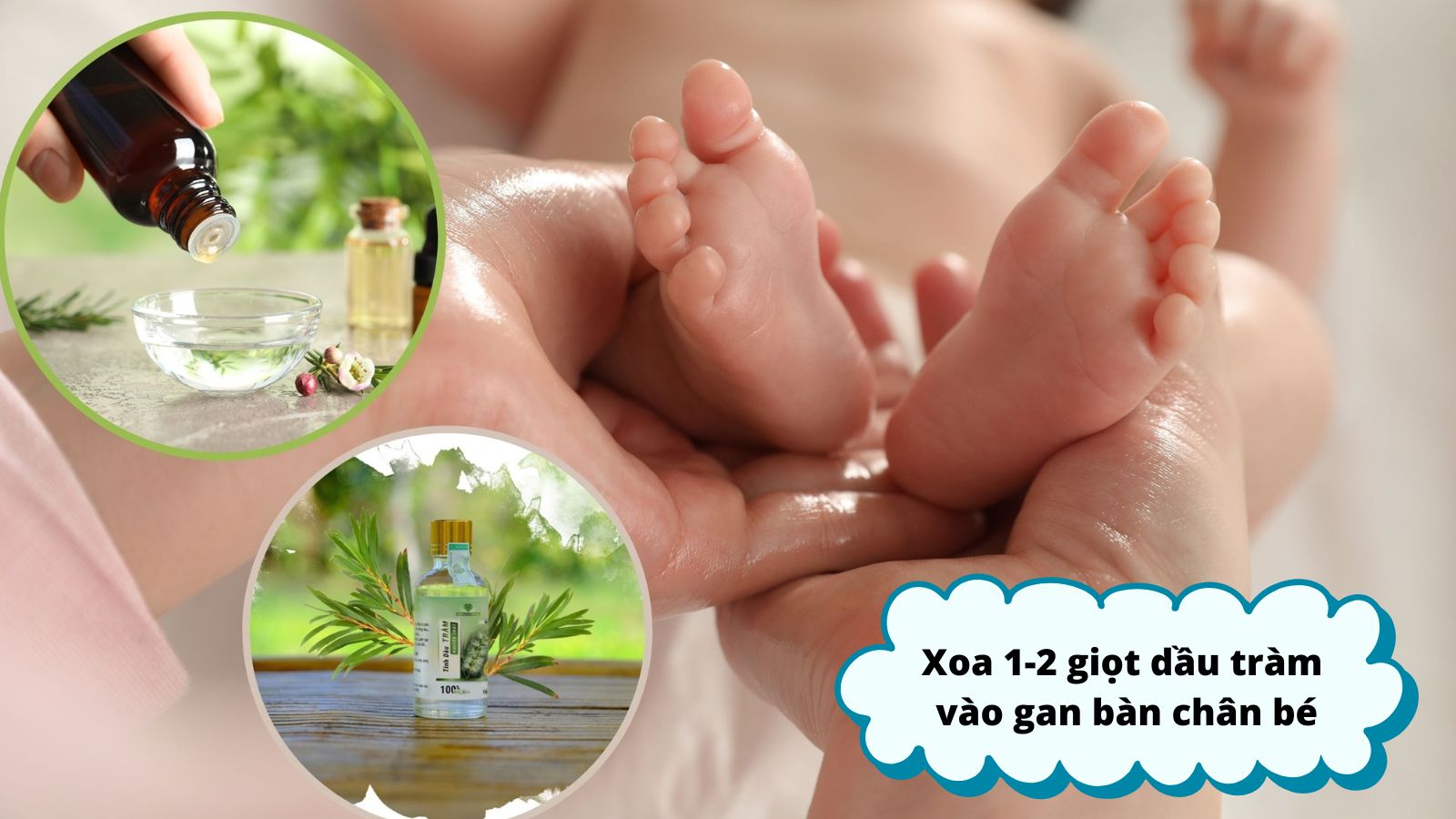 Lấy 1 &ndash; 2 giọt dầu tr&agrave;m xoa v&agrave;o gan b&agrave;n ch&acirc;n sẽ gi&uacute;p giữ ấm cơ thể cho b&eacute;