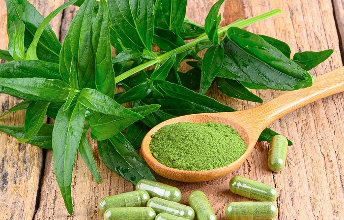 C&aacute;c b&agrave;i thuốc d&acirc;n gian của c&acirc;y xuy&ecirc;n t&acirc;m li&ecirc;n