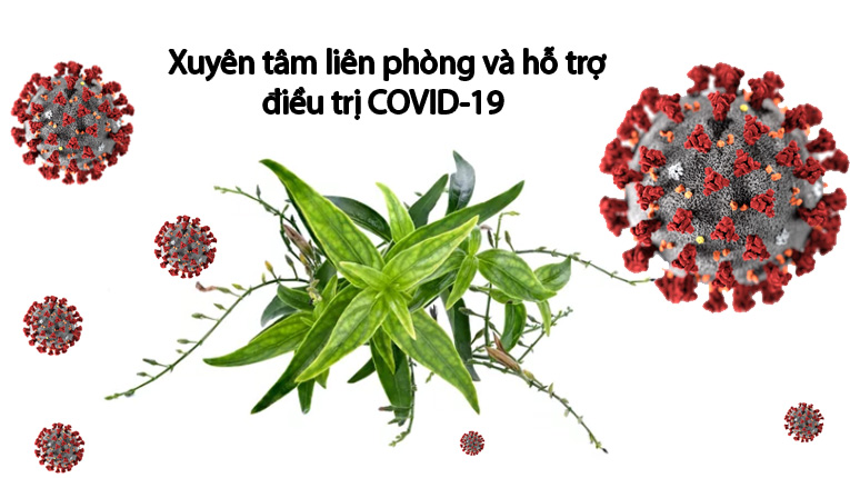 Ứng dụng của xuy&ecirc;n t&acirc;m li&ecirc;n trong điều trị Covid19