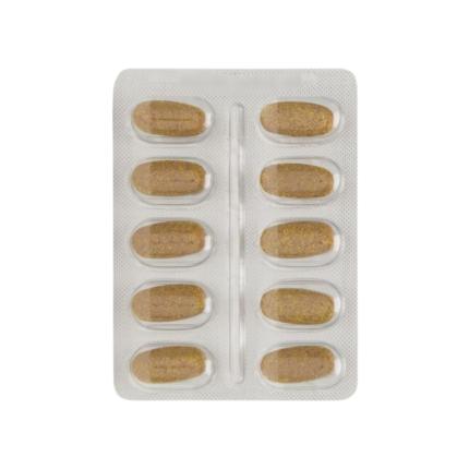 Vỉ 10 viên ArmoLipid Plus