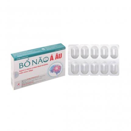 Bổ Não Á Âu - Tăng cường tuần hoàn máu não