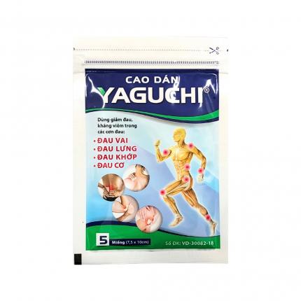 Cao Dán Yaguchi (4)