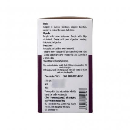 Thành phần của Garlic Oil VTV