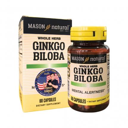 Mason Natural Ginkgo Biloba - Hỗ trợ não bộ