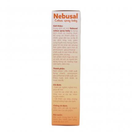 Thành phần và công cụng của Nebusal 13% Baby