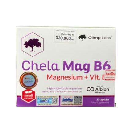 Chela Mag B6 (2)