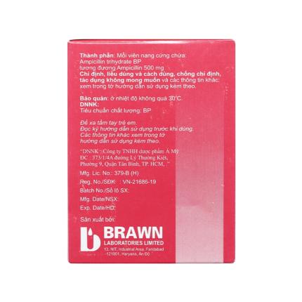 Ampicillin Brawn (500mg) (2)