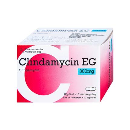Thuốc Clindamycin EG 300mg - Điều trị nhiễm khuẩn