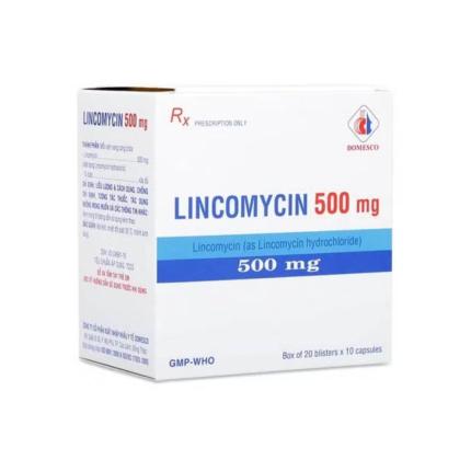 Thuốc Lincomycin Domesco 500mg - Điều trị nhiễm khuẩn