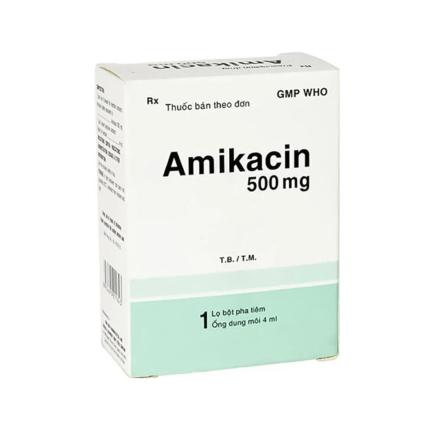 Thuốc tiêm Amikacin 500mg Bidiphar - Điều trị nhiễm khuẩn