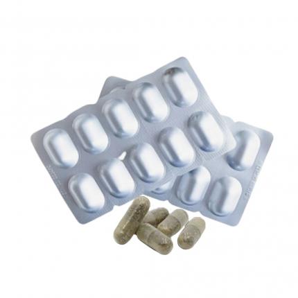 Viên uống hỗ trợ giảm Trang Chủ Chính Thức HZ88.COM Mới Nhất 2026 FoDIA