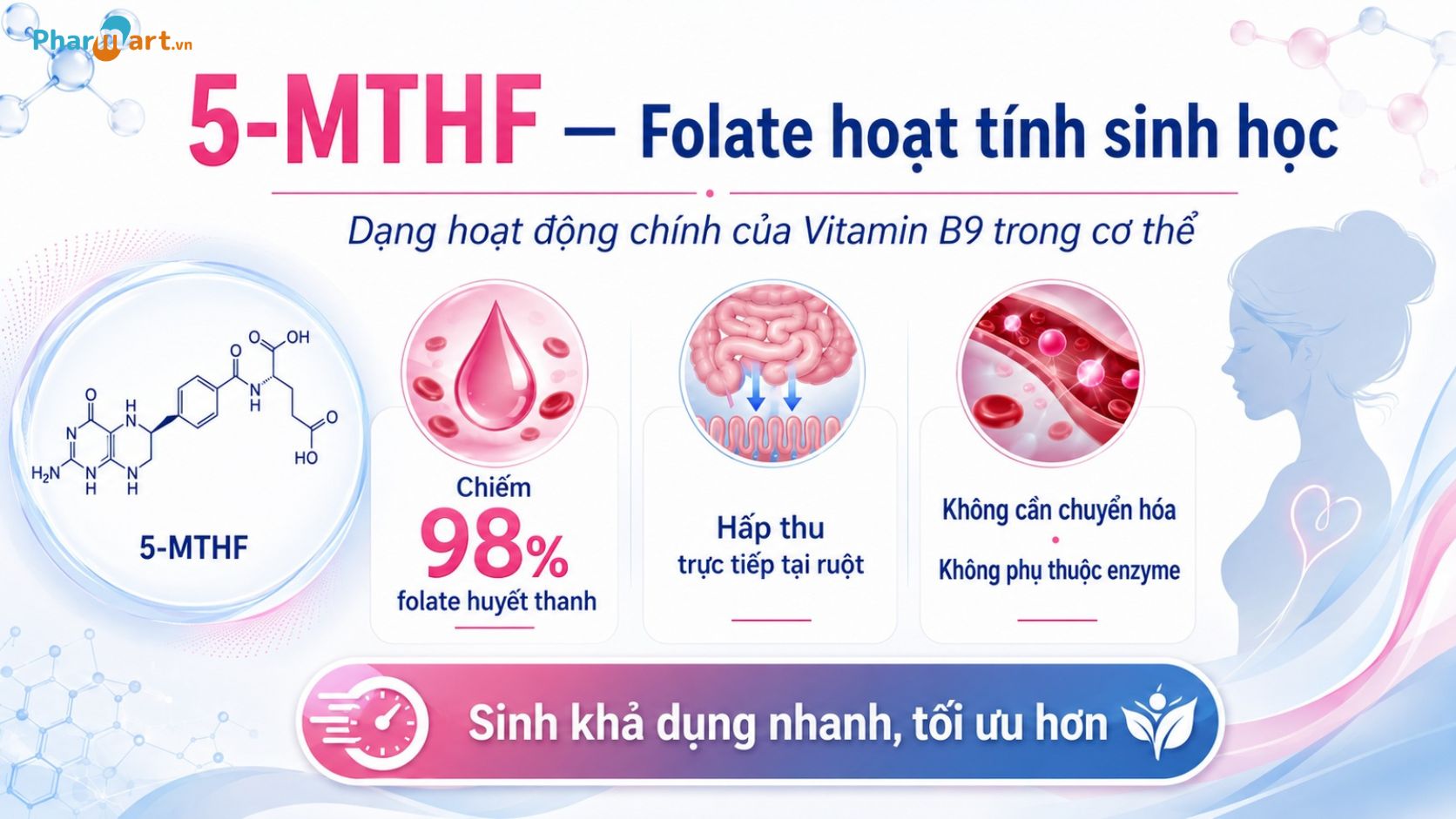 5-MTHF c&oacute; khả năng hấp thu trực tiếp, kh&ocirc;ng cần chuyển h&oacute;a