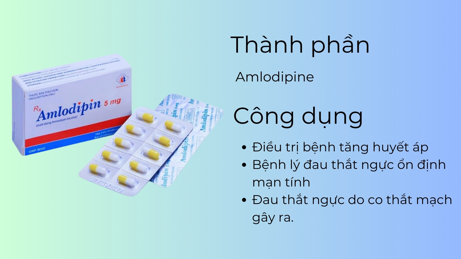 Th&agrave;nh phần v&agrave; c&ocirc;ng dụng của Amlodipin Domesco