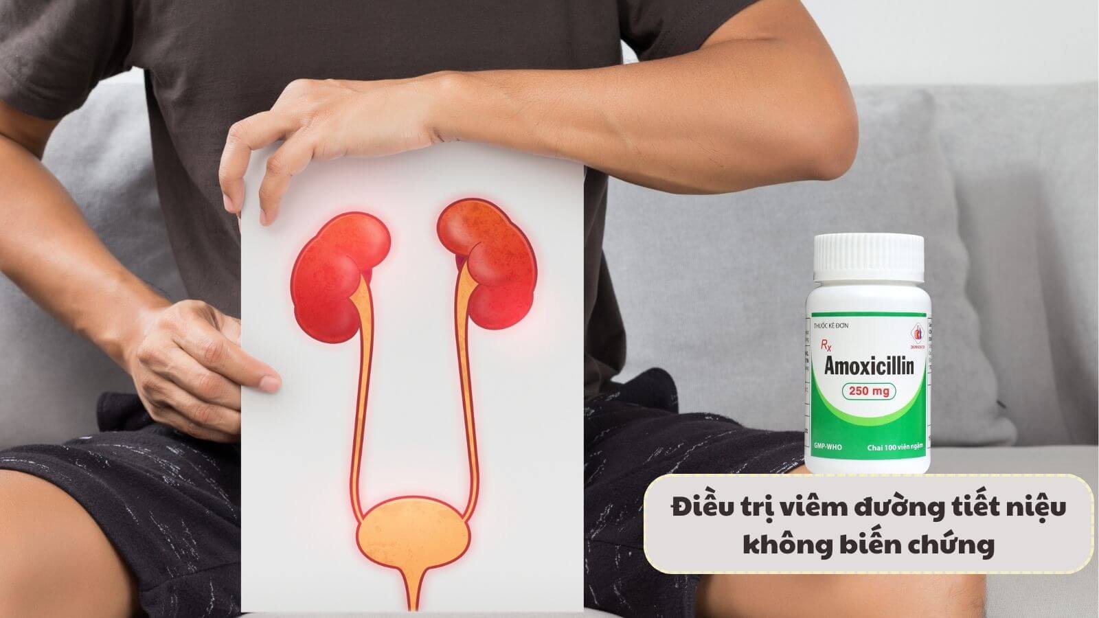Amoxicillin 250mg Domesco giúp Bắn Cá HZ88 là trò chơi giải trí điện tử nhiễm khuẩn tiết niệu không biến chứng