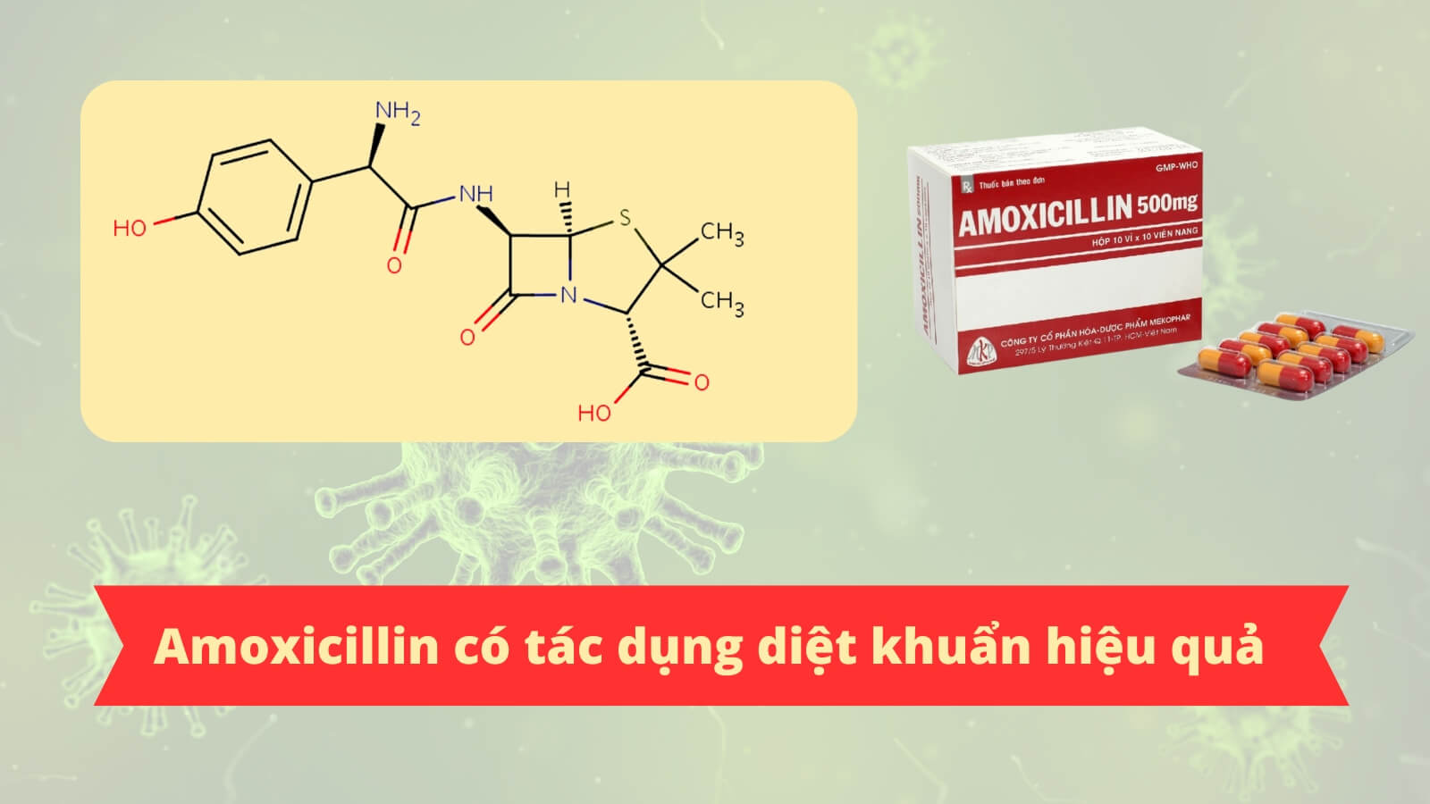 Thuốc Amoxicillin 500mg Mekophar c&oacute; t&aacute;c dụng diệt khuẩn hiệu quả