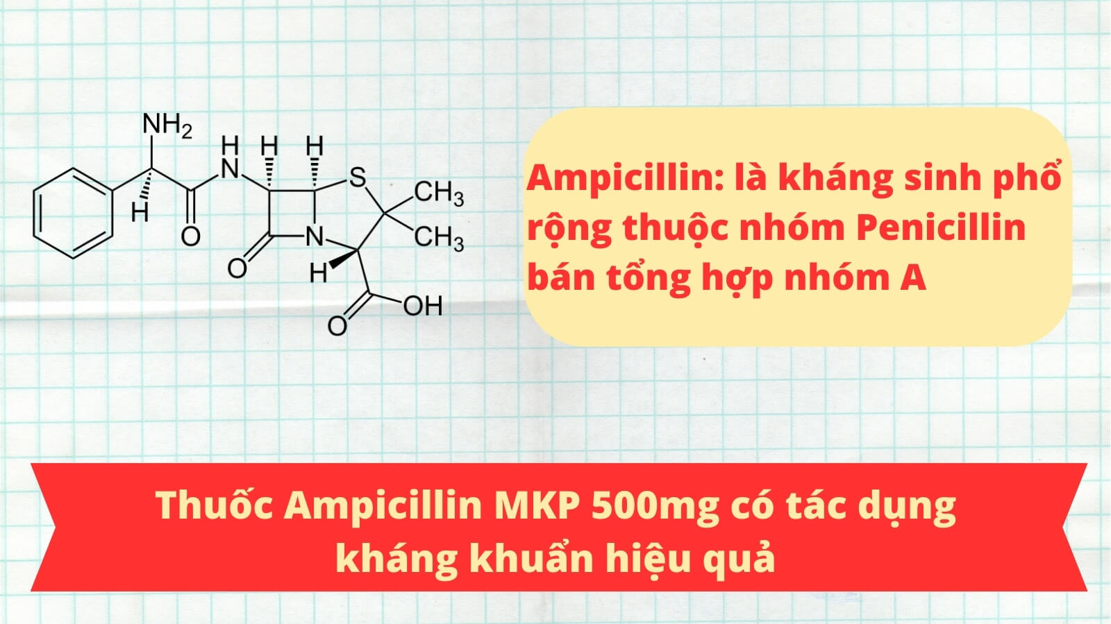 Thuốc Ampicillin MKP 500mg chứa kh&aacute;ng sinh gi&uacute;p kh&aacute;ng khuẩn hiệu quả