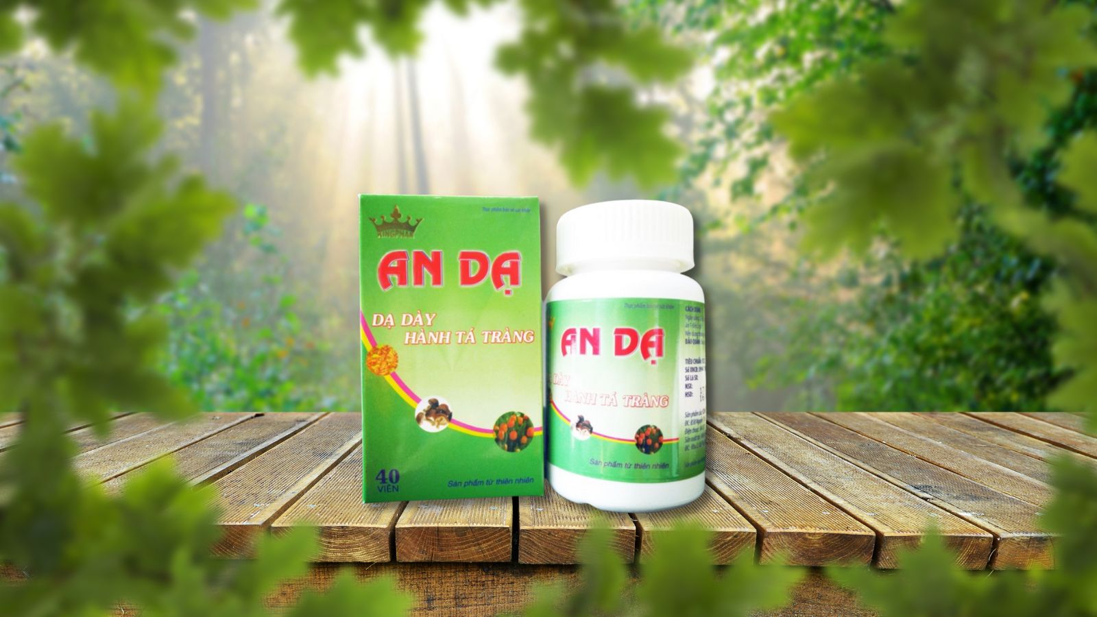 An Dạ Kingphar hỗ trợ hiệu quả c&aacute;c triệu chứng dạ d&agrave;y, t&aacute; tr&agrave;ng