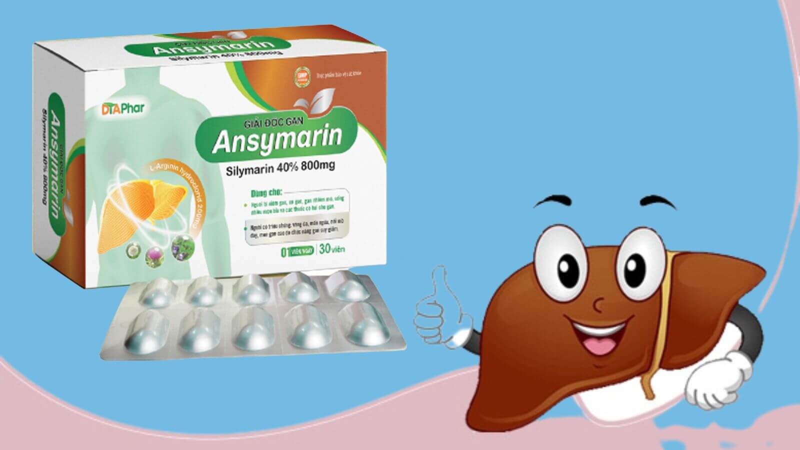 C&ocirc;ng dụng của sản phẩm Ansymarin Silymarin 800mg