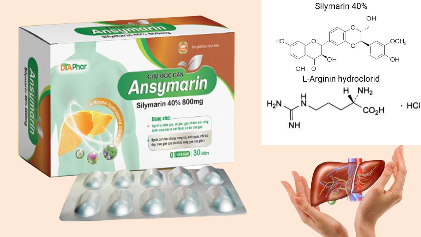 Th&agrave;nh phần ch&iacute;nh của Ansymarin Silymarin 800mg