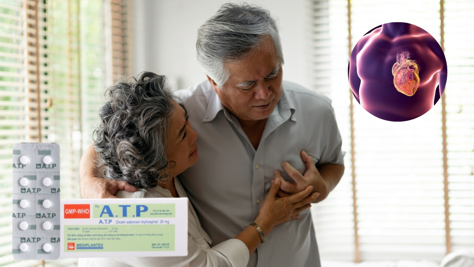 Thuốc được chỉ định trong c&aacute;c trường hợp suy tim, di chứng xuất huyết n&atilde;o, nhồi m&aacute;u n&atilde;o, chấn thương đầu, mỏi mắt cơ v&agrave; vi&ecirc;m dạ d&agrave;y mạn do suy chức năng ti&ecirc;u h&oacute;a. 
