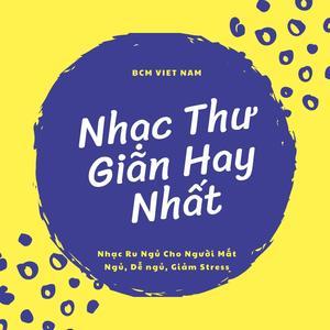Địa Chỉ Mua Bao Gối Với Lò Xo Hỗ Trợ ở Phía Bên K034 Size XL Uy Tín