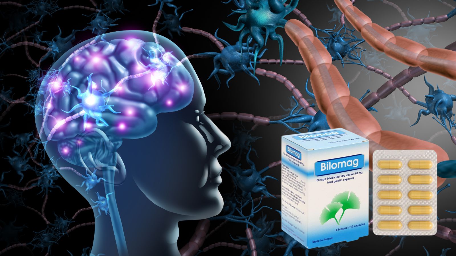 Bilomag 80mg - Cải thiện chức năng tuần ho&agrave;n n&atilde;o