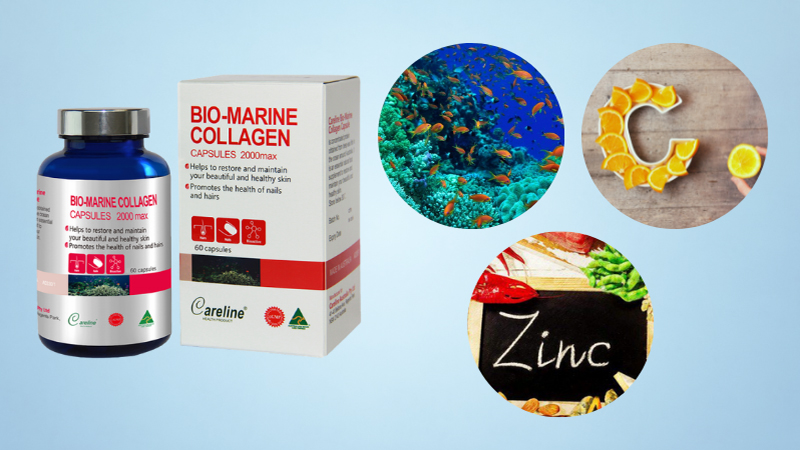 C&aacute;c th&agrave;nh phần trong Bio-Marine Collagen hỗ trợ cải thiện t&iacute;nh chất da&nbsp;