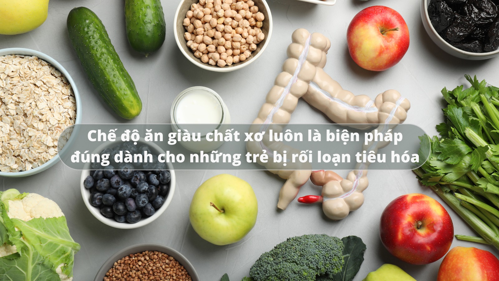 BioAmicus Complete sẽ mang lại hiệu quả nhanh v&agrave; tối ưu hơn việc dựa v&agrave;o thực đơn gi&agrave;u chất xơ 