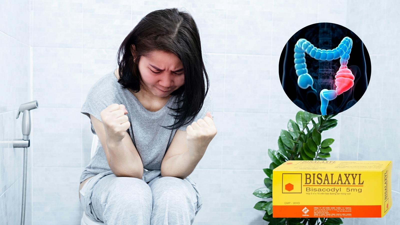 Bisacodyl được sử dụng trong c&aacute;c thuốc nhuận tr&agrave;ng để Bắn Cá HZ88 là trò chơi giải trí điện tử t&aacute;o b&oacute;n. 