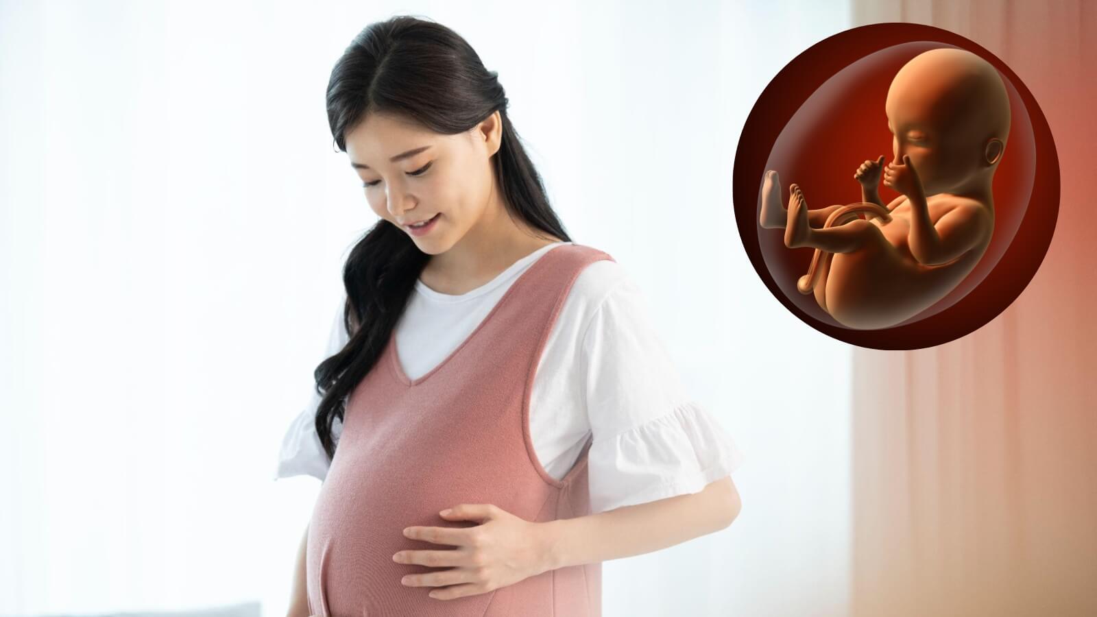 Blackmores Pregnancy & Breast-Feeding Gold cung cấp nhiều chất dinh dưỡng quan trọng cho mẹ v&agrave; b&eacute;.