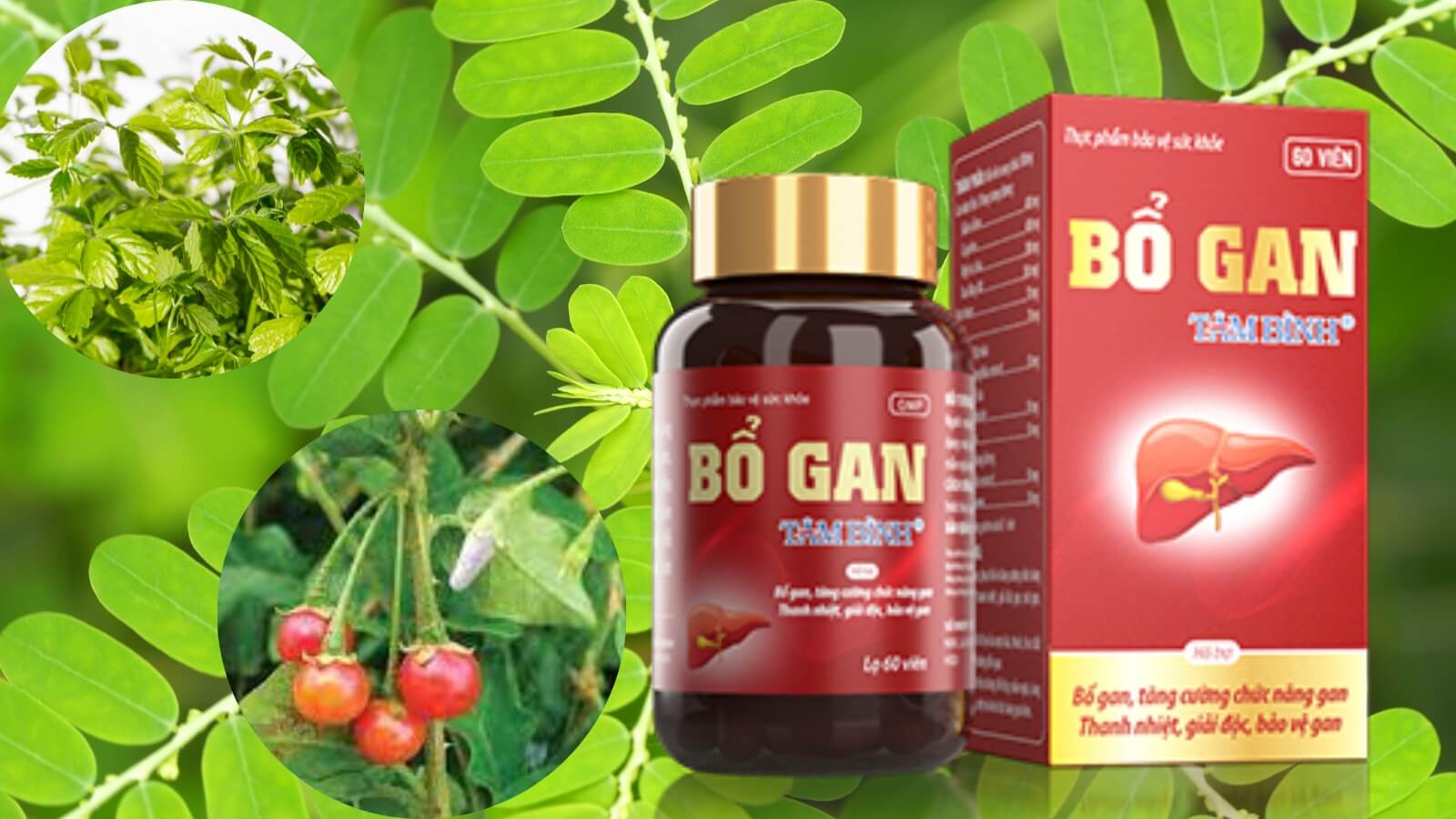 Bổ gan T&acirc;m B&igrave;nh - Thực phẩm bảo vệ chức năng gan
