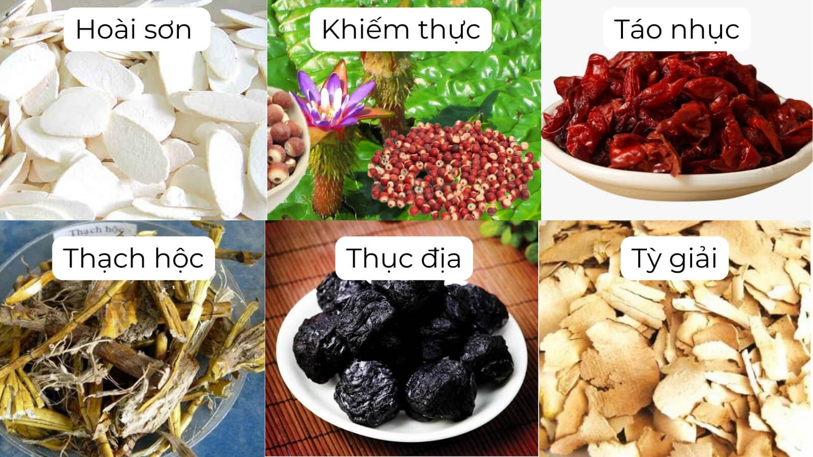 Th&agrave;nh phần ch&iacute;nh c&oacute; trong Bổ thận &acirc;m TW3