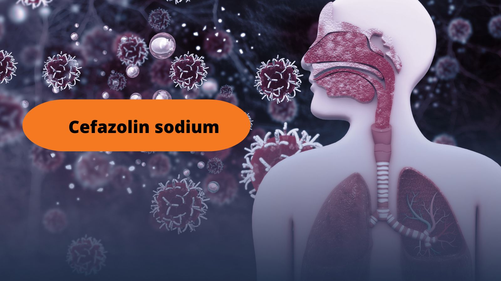 Thành phần chính của Cefazolin Actavis 2g