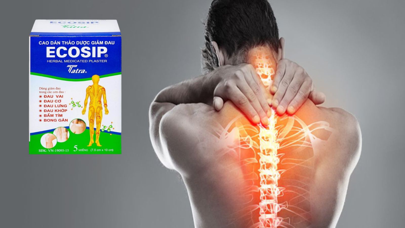 Cao d&aacute;n thảo dược Ecosip - Hỗ trợ đau cơ đau lưng