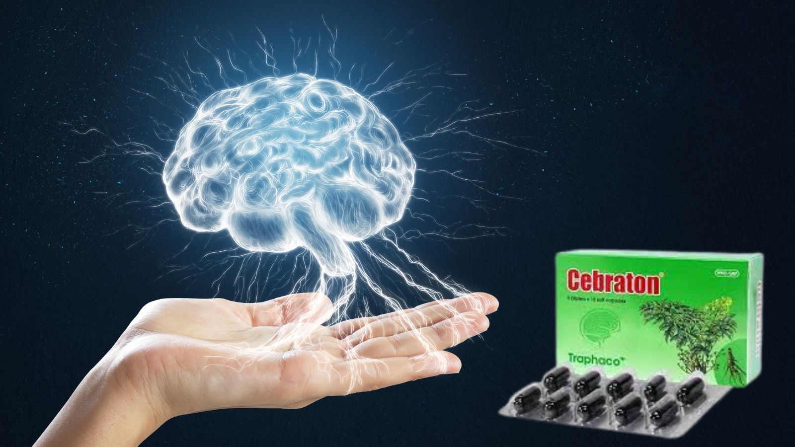Cebraton - Hỗ trợ tr&iacute; nhớ v&agrave; tuần ho&agrave;n n&atilde;o