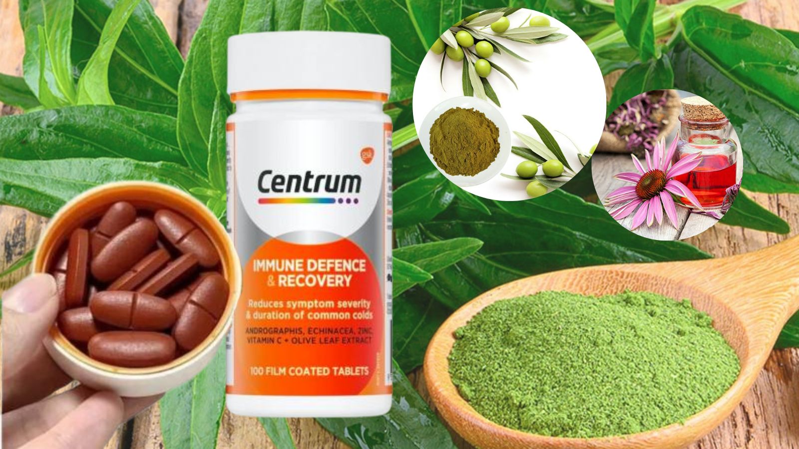 Th&agrave;nh phần ch&iacute;nh của Immune Defense & Recovery