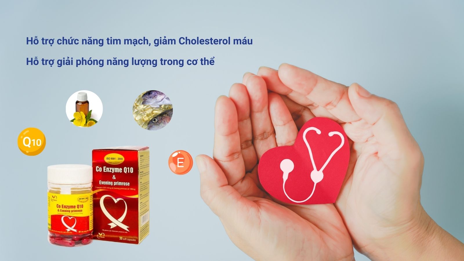 Co Enzyme Q10 & Evening Primrose hỗ trợ Hz888 đăng ký nhanh tim mạch