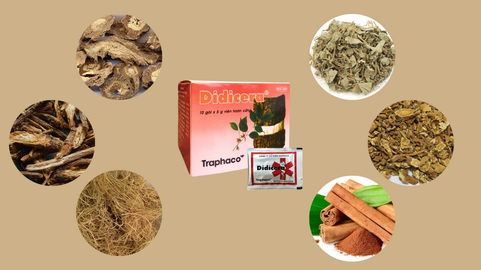 Th&agrave;nh phần của thuốc Didicera