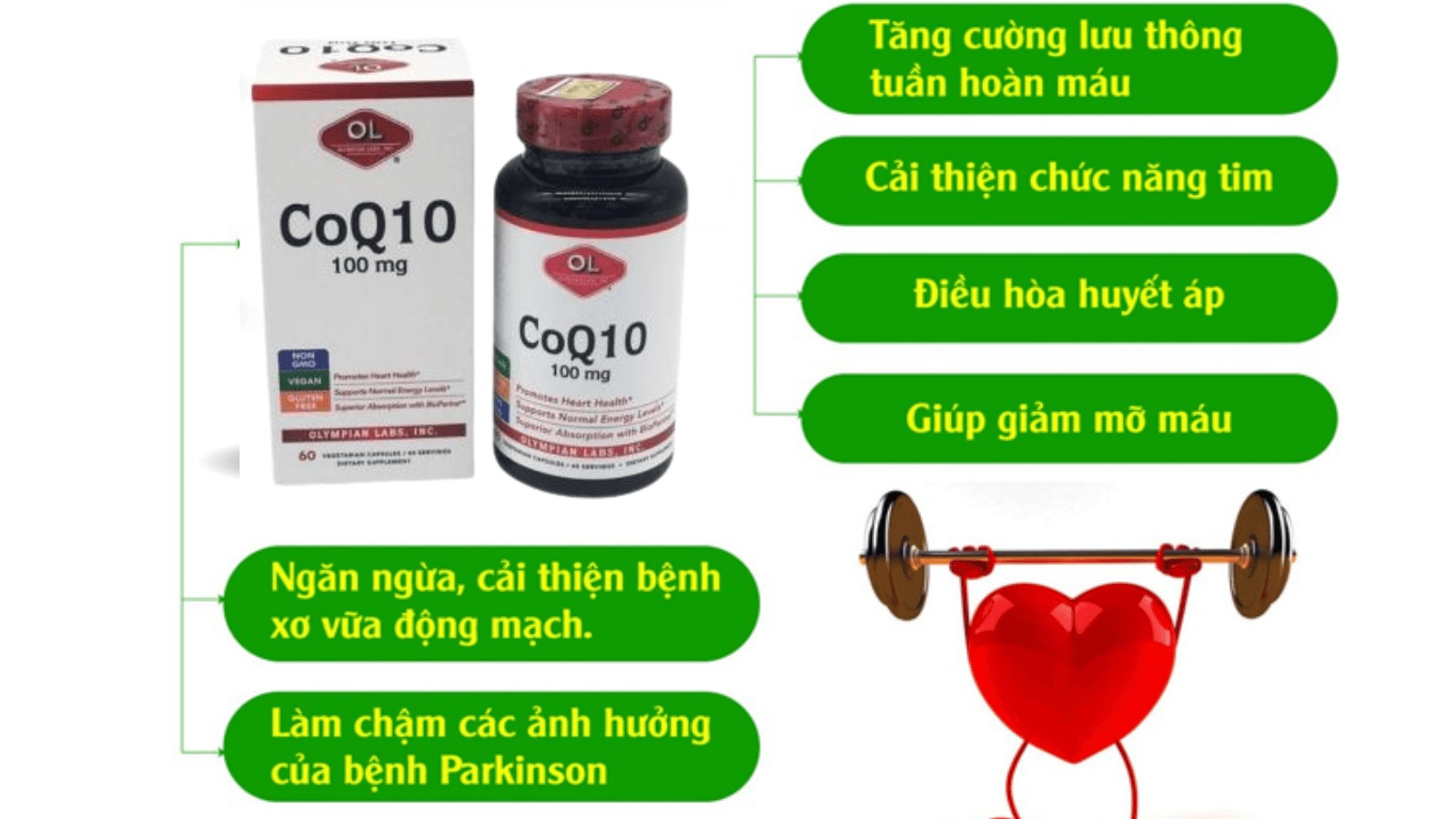 Vi&ecirc;n uống CoQ10 100mg của Olympian Labs hỗ trợ sức khỏe tim mạch