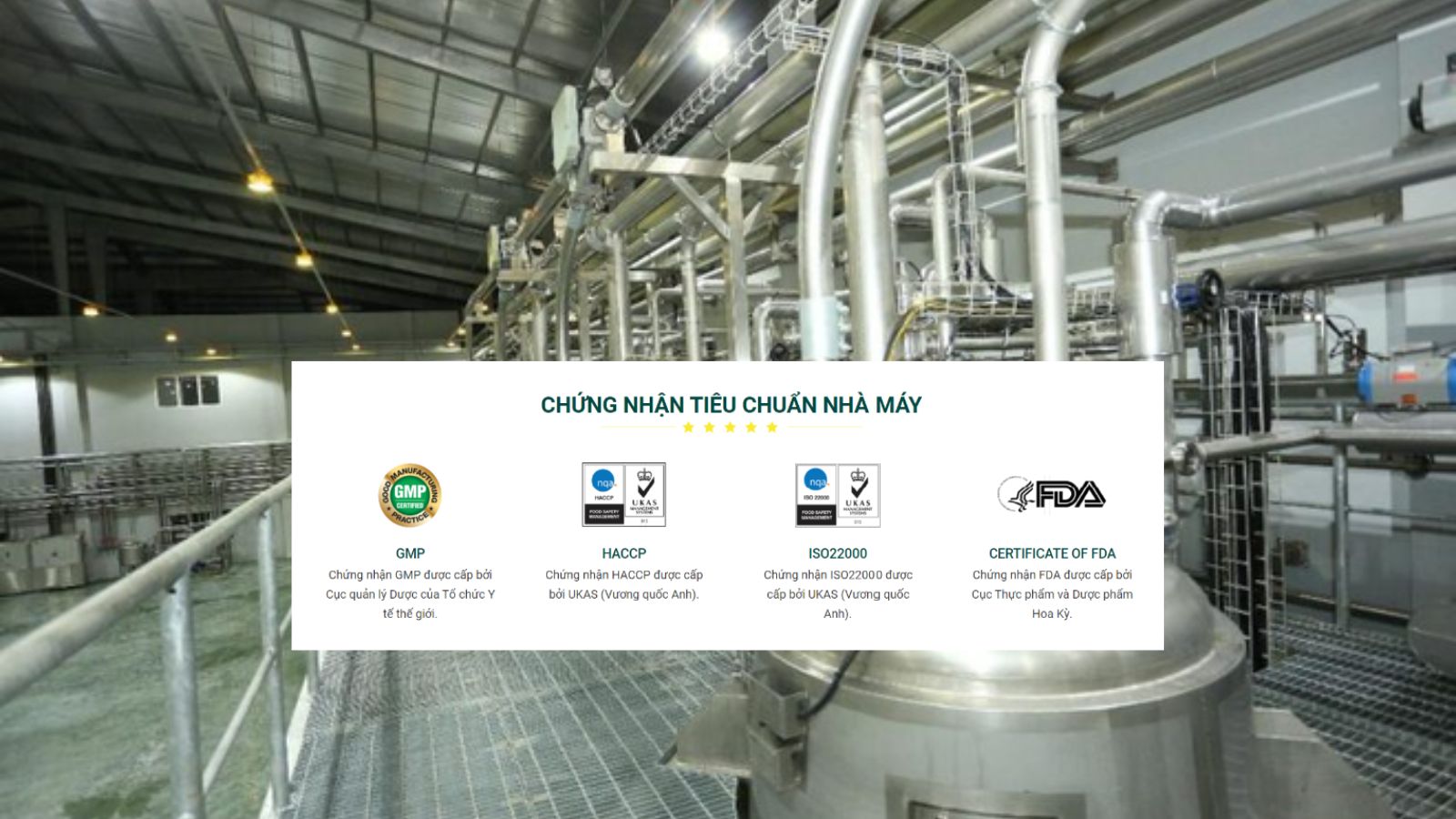 Nh&agrave; m&aacute;y Anvy đạt nhiều chứng nhận TCCL quốc tế.
