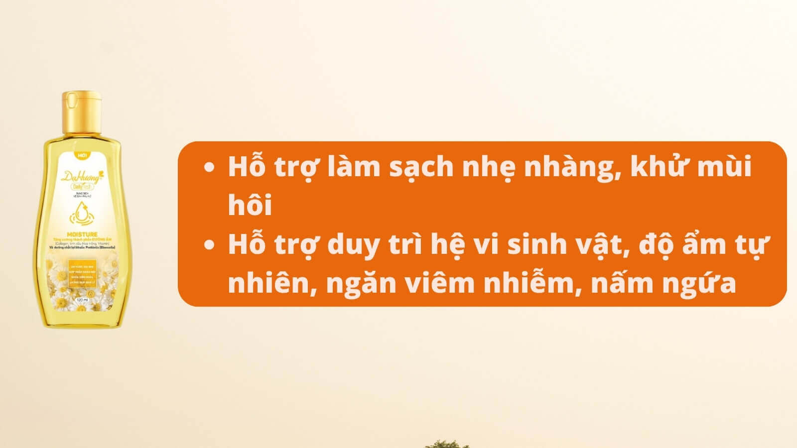 Dạ Hương Daily Fresh V&agrave;ng l&agrave;m sạch, dưỡng ẩm hiệu quả