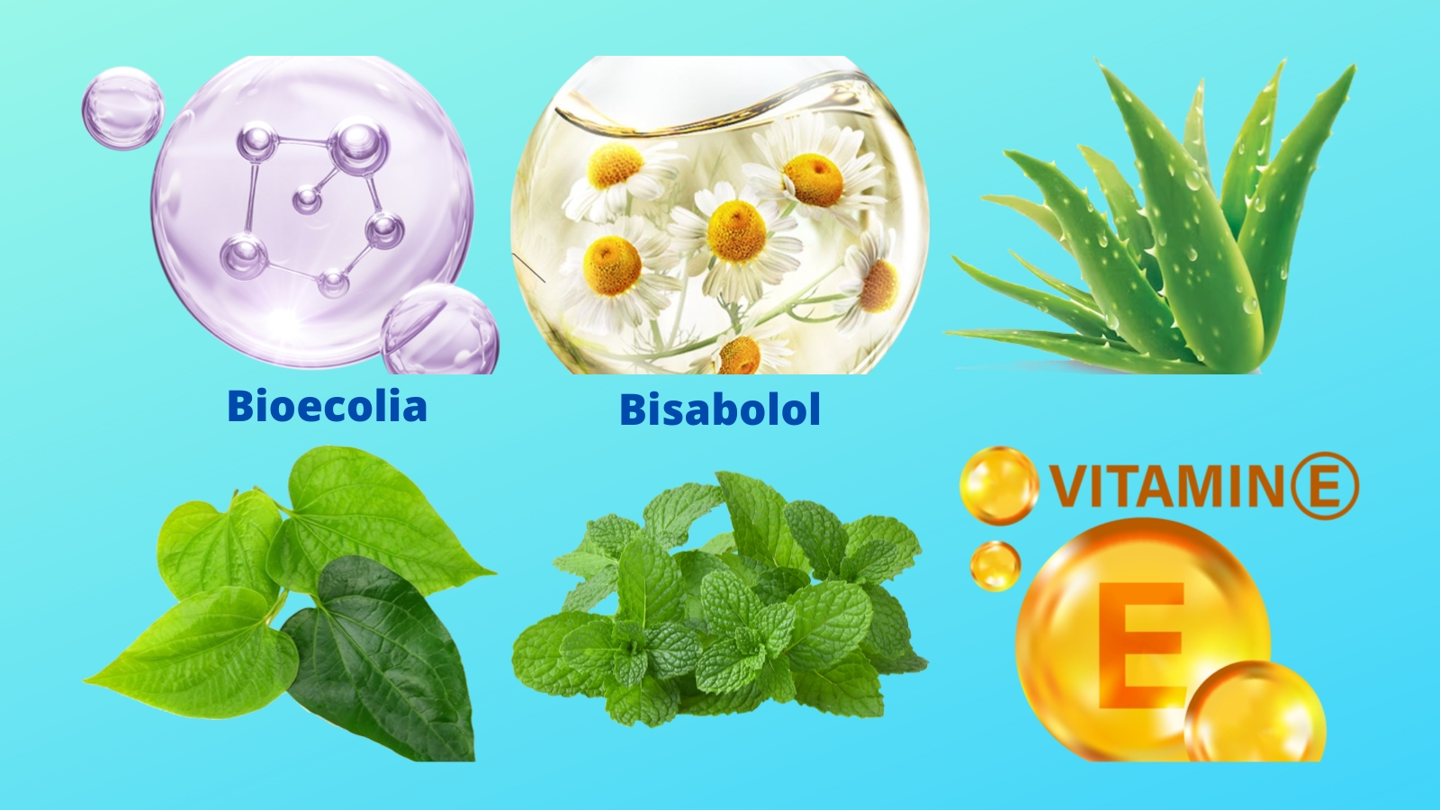 Các thành phần trong Dạ Hương Daily Fresh Xanh