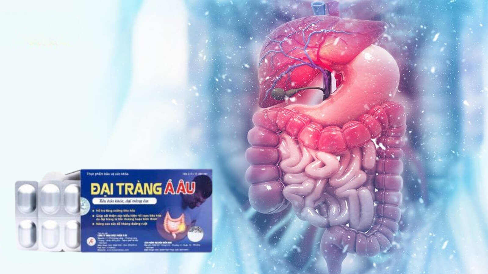 Đại tr&agrave;ng &Aacute; &Acirc;u gi&uacute;p bạn c&oacute; một hệ ti&ecirc;u h&oacute;a khỏe mạnh