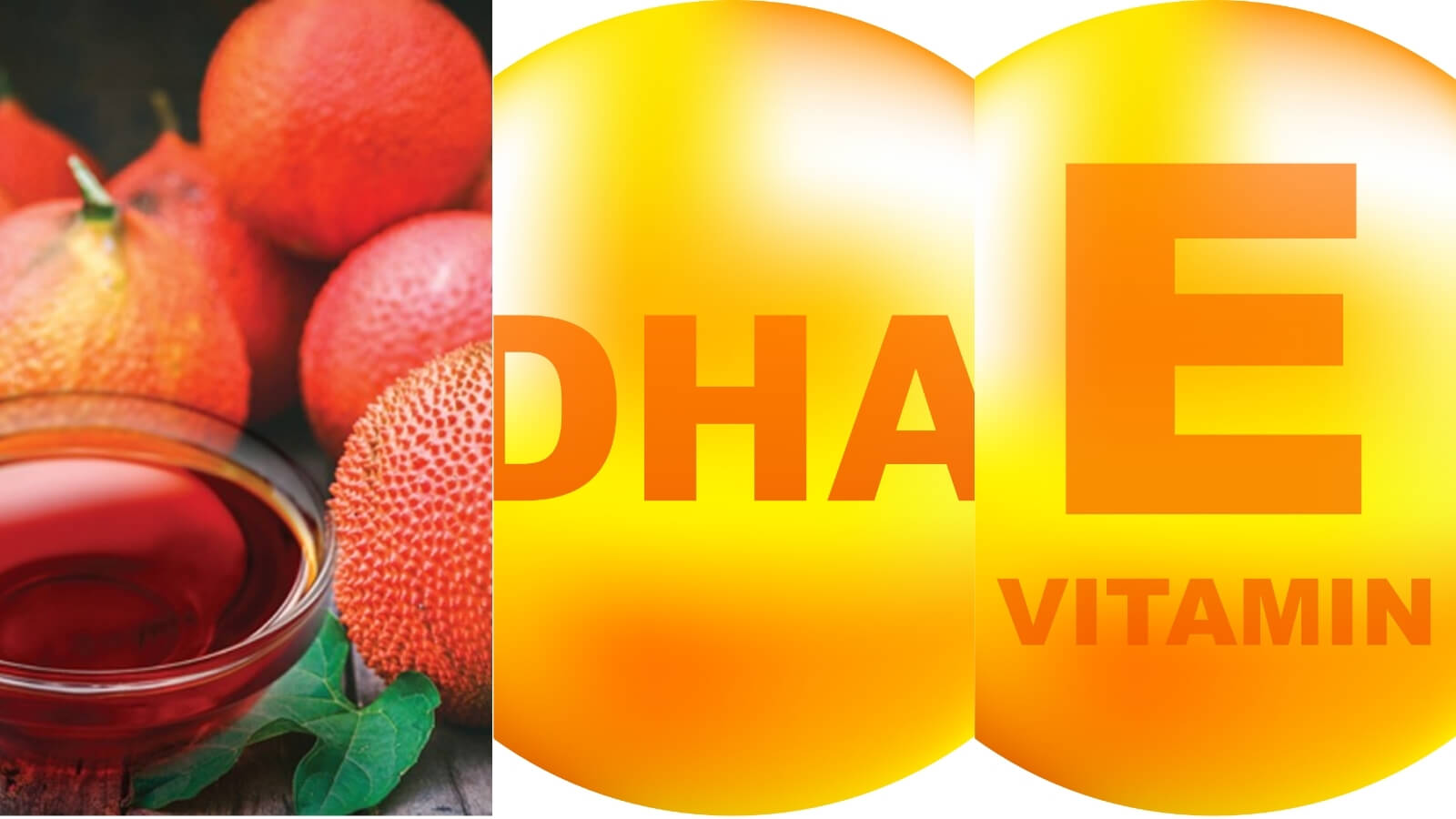 C&aacute;c th&agrave;nh phần ch&iacute;nh c&oacute; trong sản phẩm vi&ecirc;n dầu gấc Vina