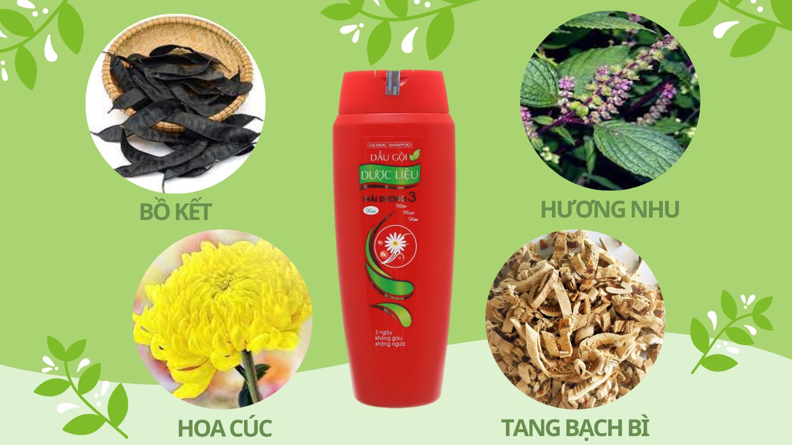 Dầu gội dược liệu Th&aacute;i Dương 3 hương hoa