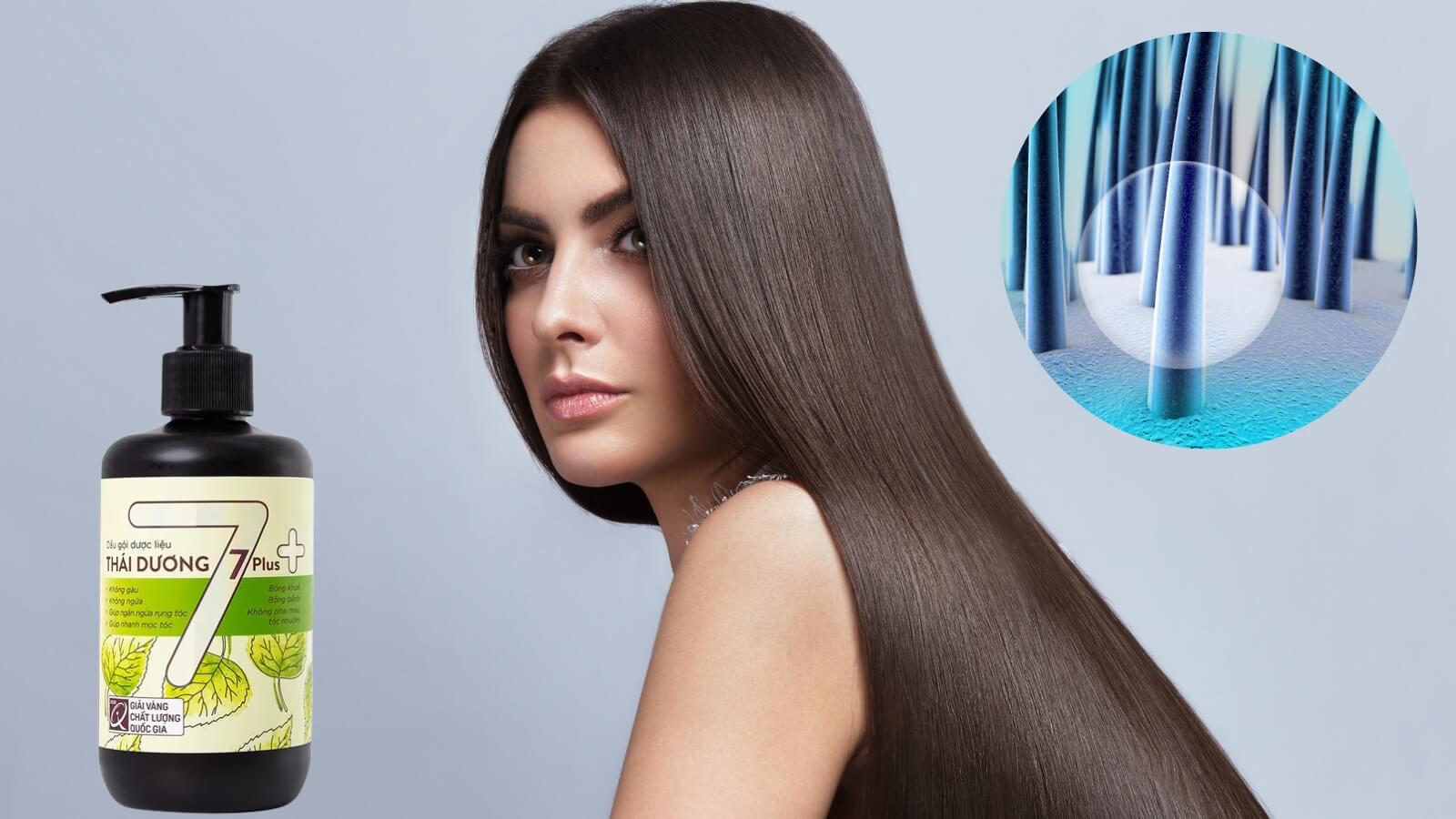 Dầu gội dược liệu Th&aacute;i Dương 7 gi&uacute;p m&aacute;i t&oacute;c su&ocirc;n mượt chắc khỏe