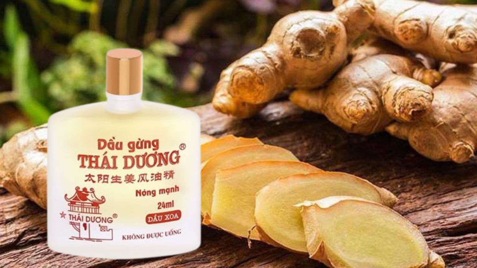 Dầu gừng Th&aacute;i Dương - Giảm đau vai g&aacute;y
