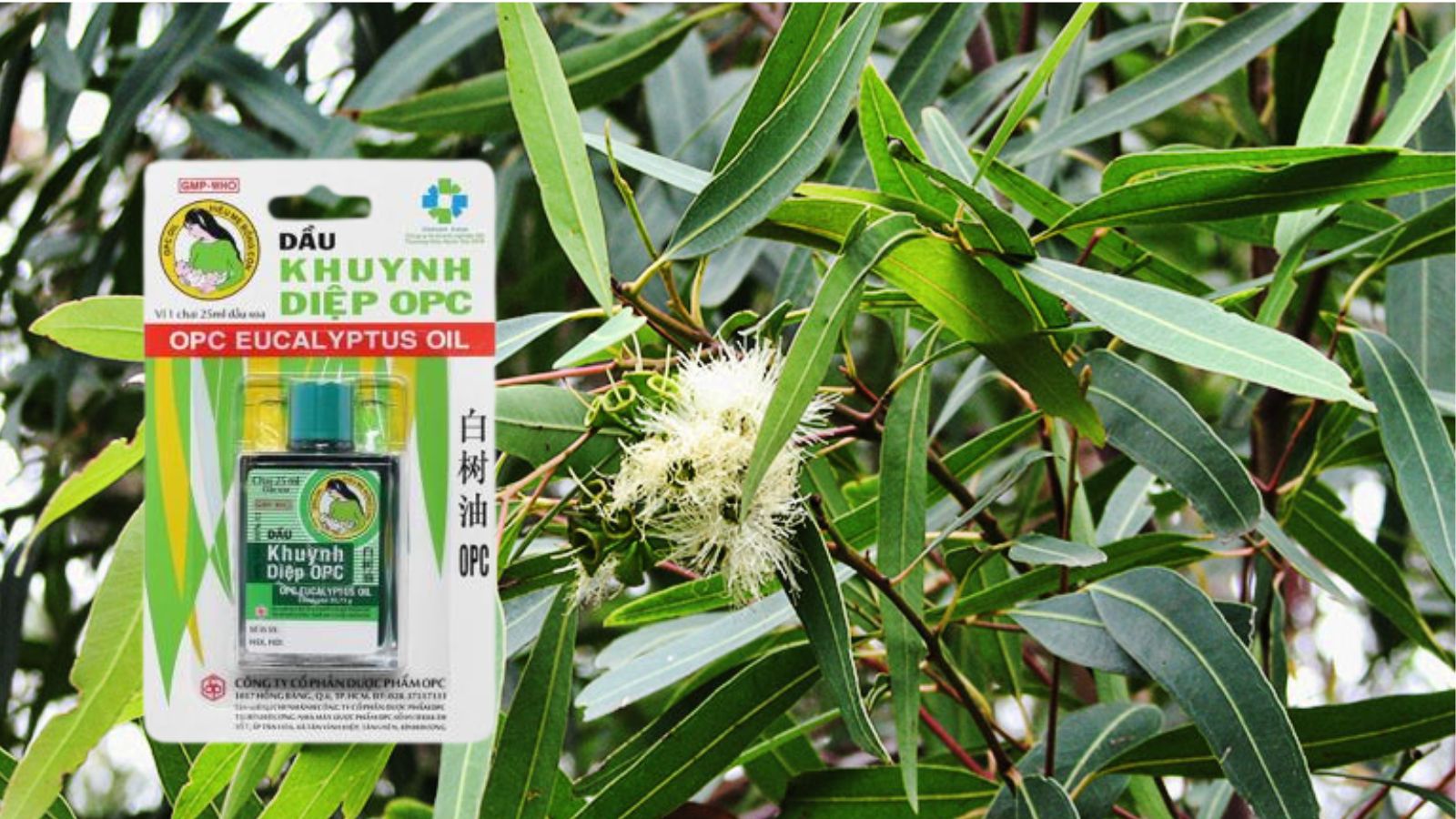 Dầu khuynh diệp OPC - Hỗ trợ cảm c&uacute;m, ho, đau đầu