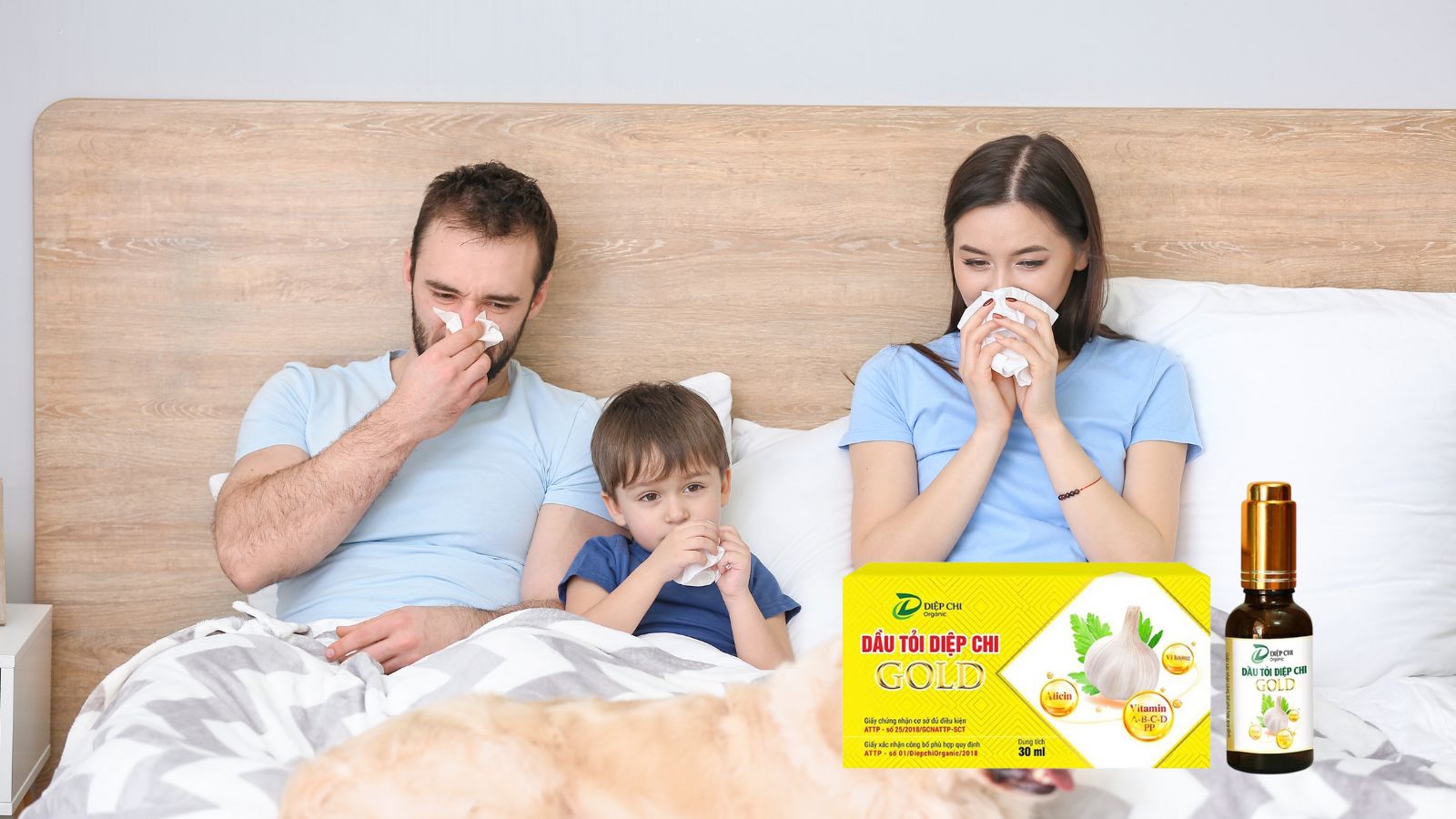 Dầu Tỏi Diệp Chi Gold là sản phẩm tự nhiên được chiết xuất từ tỏi nguyên chất, với nhiều tác dụng có lợi cho Hz888 đăng ký nhanh