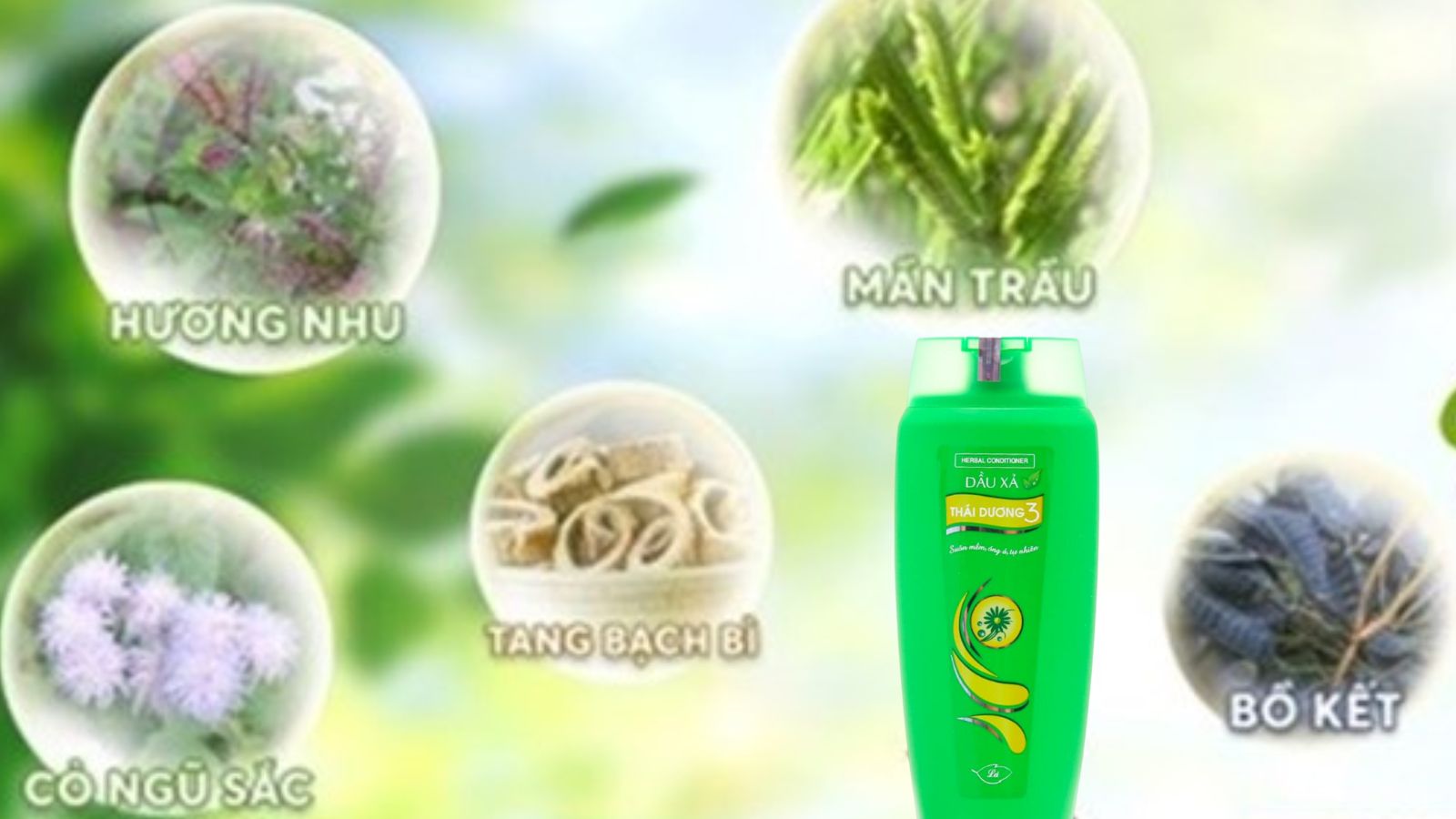 Th&agrave;nh phần ch&iacute;nh dầu xả dược liệu Th&aacute;i Dương 3 xanh